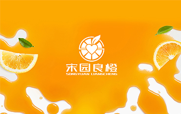 某良橙——六安LOGO设计