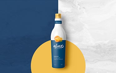 六安某动力 品牌设计