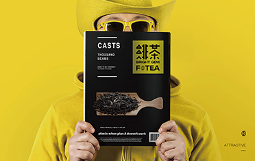 六安绯茶品牌设计